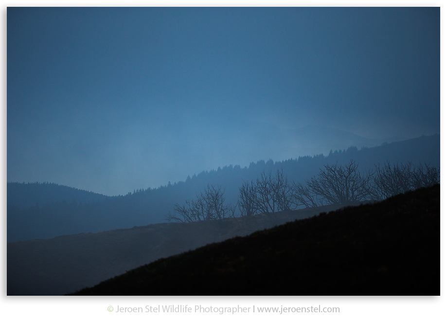 Landschap-Vogezen_JSL5149