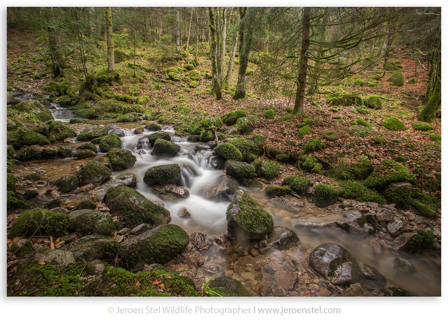 Landschap-Waterval-Vogezen_JSL5722