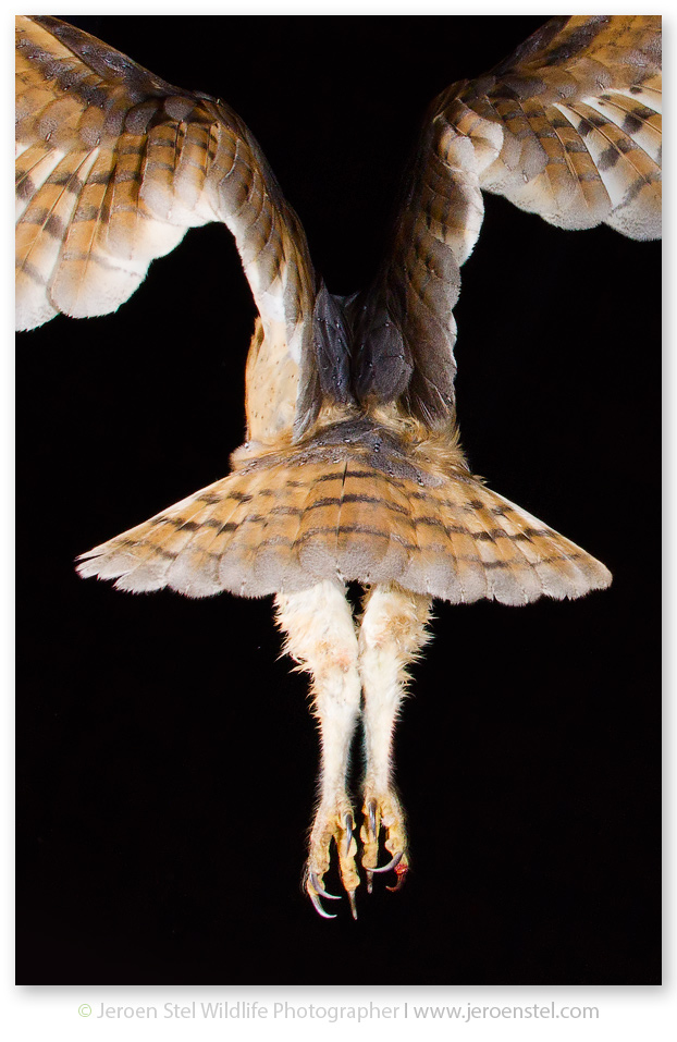 Kerkuil-HM_MG_0198-2