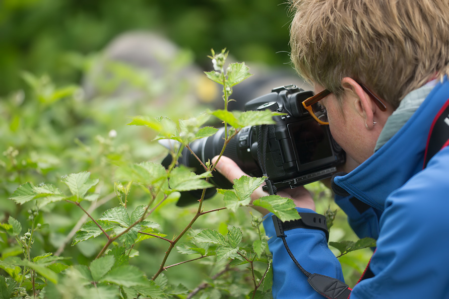 Boomkikker-Workshop_V3Y6997